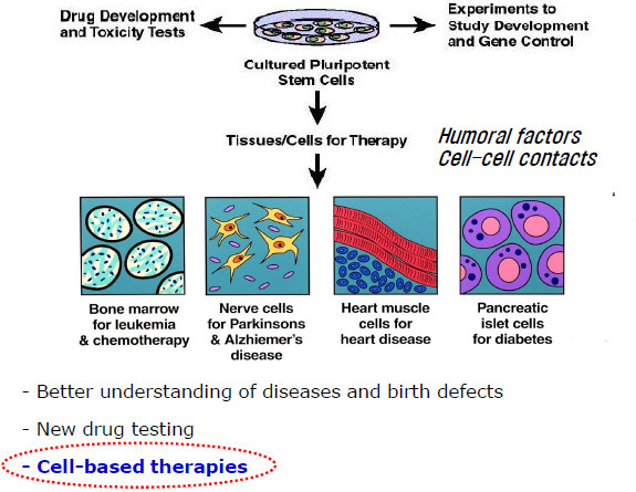 Stemcell Research